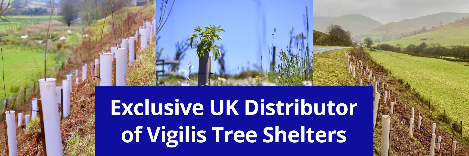 Origin Suregreen Becomes UK Exclusive Vigilis Distributor