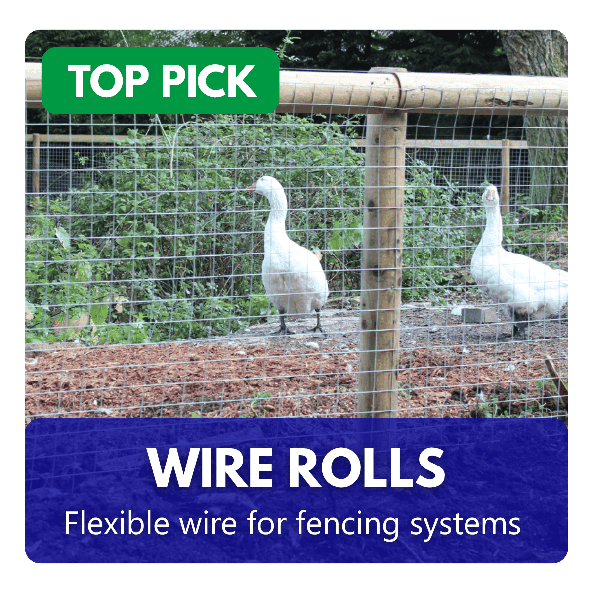 Rolls of galvanised wire mesh fencing installed around a poultry enclosure.