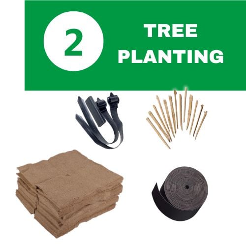 2 tree planting block