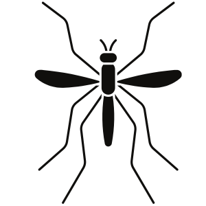 black outline drawing of a gnat