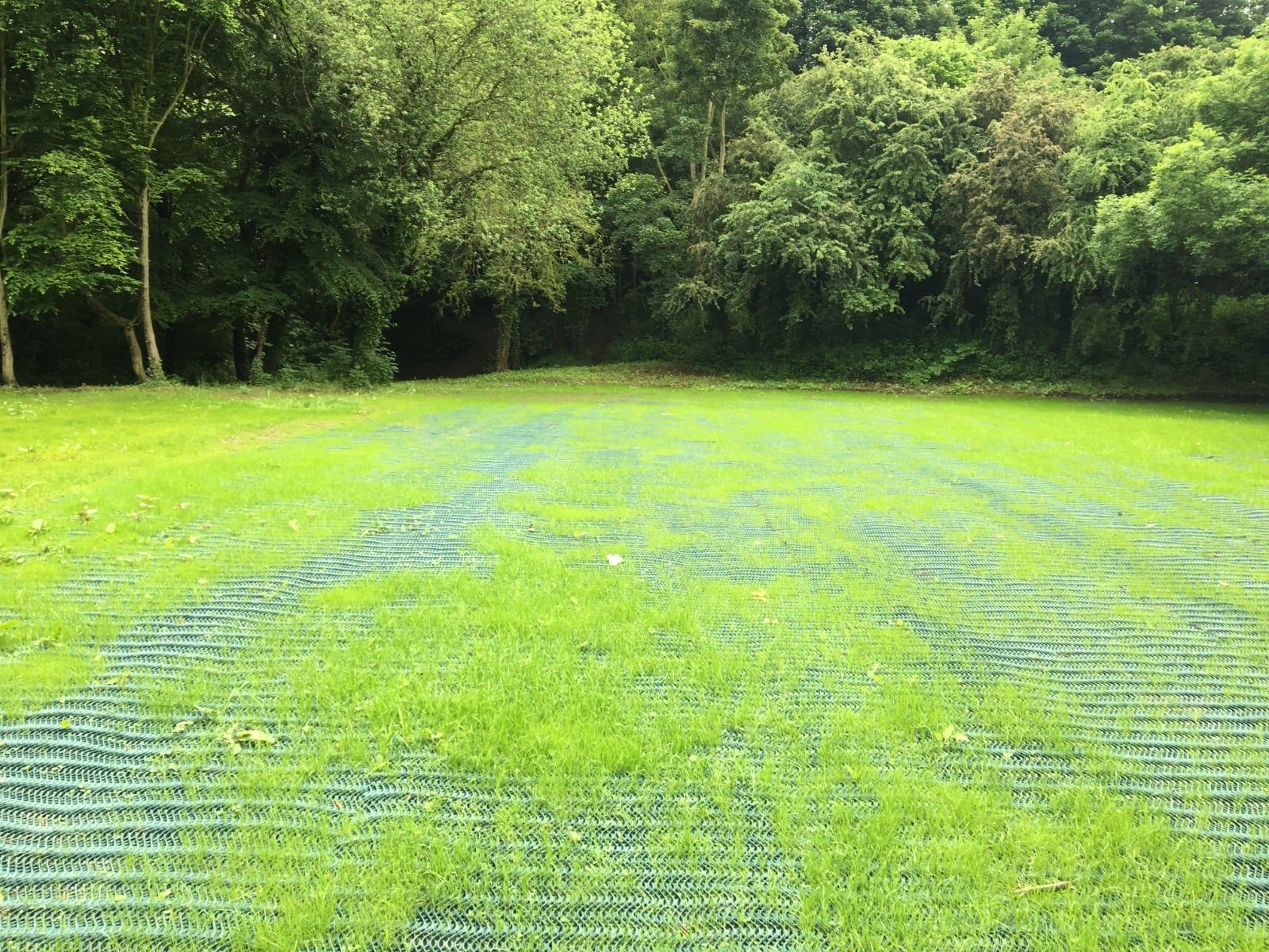 grass reinforcement mesh in action 