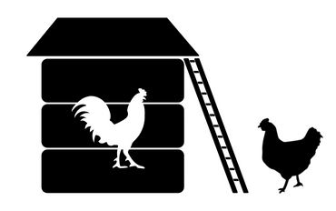 Graphic of a Chicken Coop and chicken